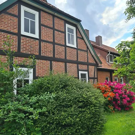 Appartement Kleine Auszeit à Bad Fallingbostel Extérieur photo