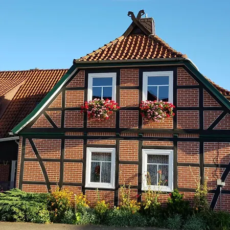 Appartement Kleine Auszeit à Bad Fallingbostel Extérieur photo